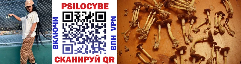 Купить где  Долгопрудный  Галлюциногенные грибы прущие грибы 