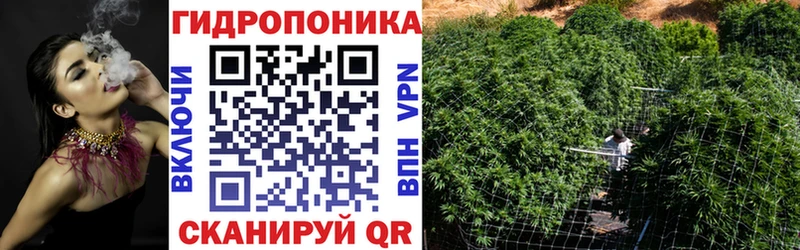 Купить закладки  Долгопрудный  Бошки Шишки Amnesia 